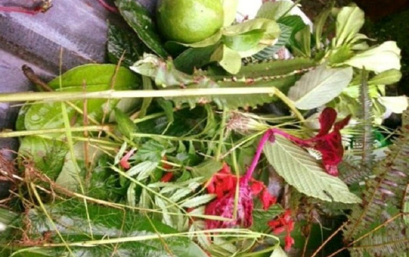 आज साउने सङ्क्रान्ति : लुतो फाल्ने दिन