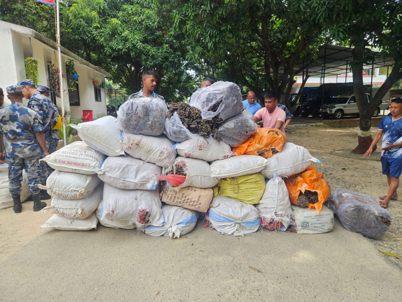 रौतहट प्रहरीद्वारा लाखौंको सुर्ति बरामद