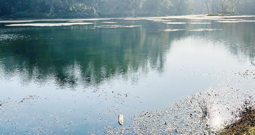 आज विश्व ताल दिवस: जलस्रोत संरक्षण र जनचेतनामा जोड