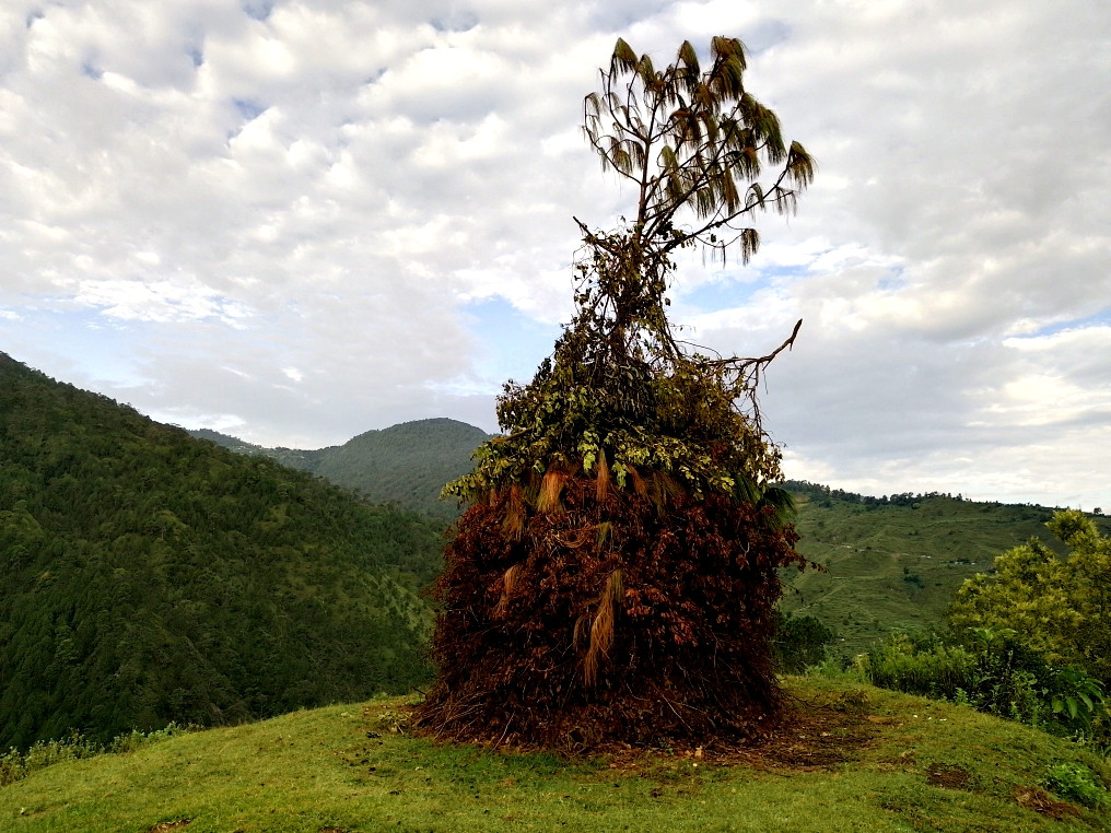 संस्कृति र परम्परासँग जोडिएको ‘बुढी पोल्ने’ पर्व आज सुदूरपश्चिममा