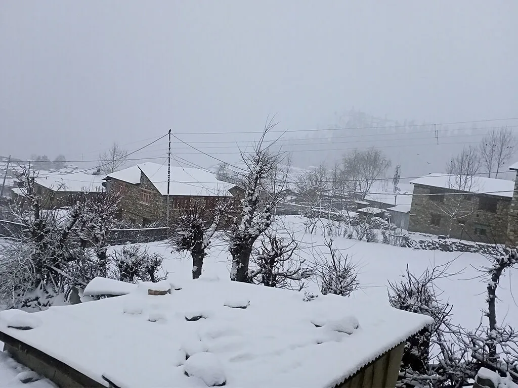 हुम्ला–मुस्ताङ–बाजुराका उच्च भेग सेताम्मे, जनजीवन प्रभावित