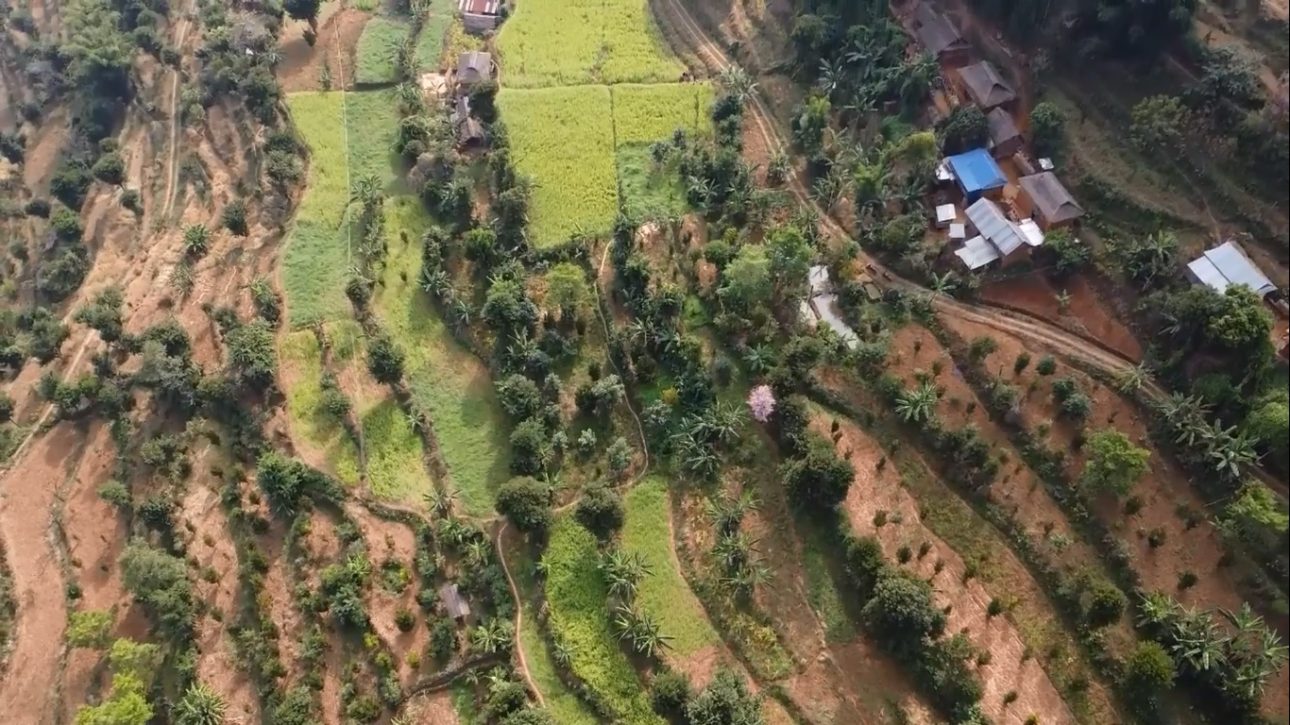 रामप्रसादराई–३ भुल्केका किसान सुन्तला र एभोकाडो खेतीतर्फ उन्मुख