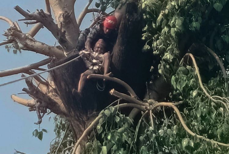 कैलालीमा रूखमा अड्किएका वृद्धको सशस्त्र प्रहरीद्वारा सकुशल उद्धार