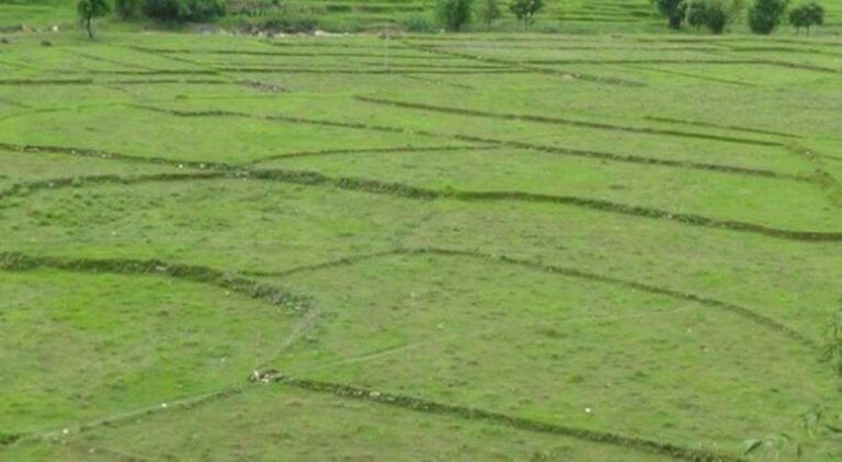 भोगाधिकारमा रहेका सरकारी जग्गा लिजमा रूपान्तरण गर्न विभागको आग्रह